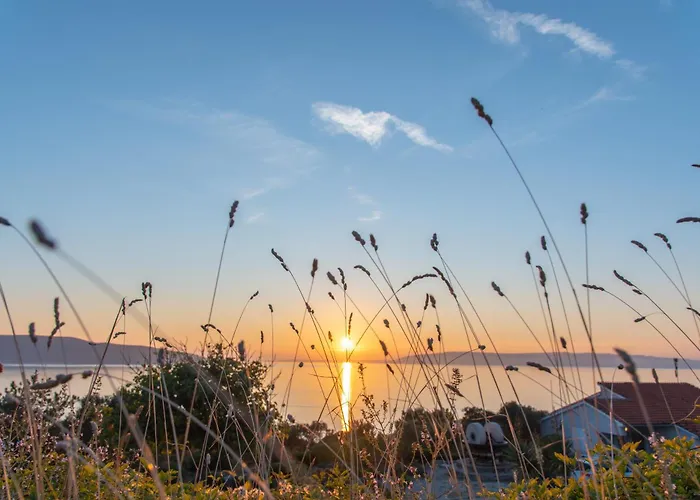 Lägenhet Stara Gavza 14